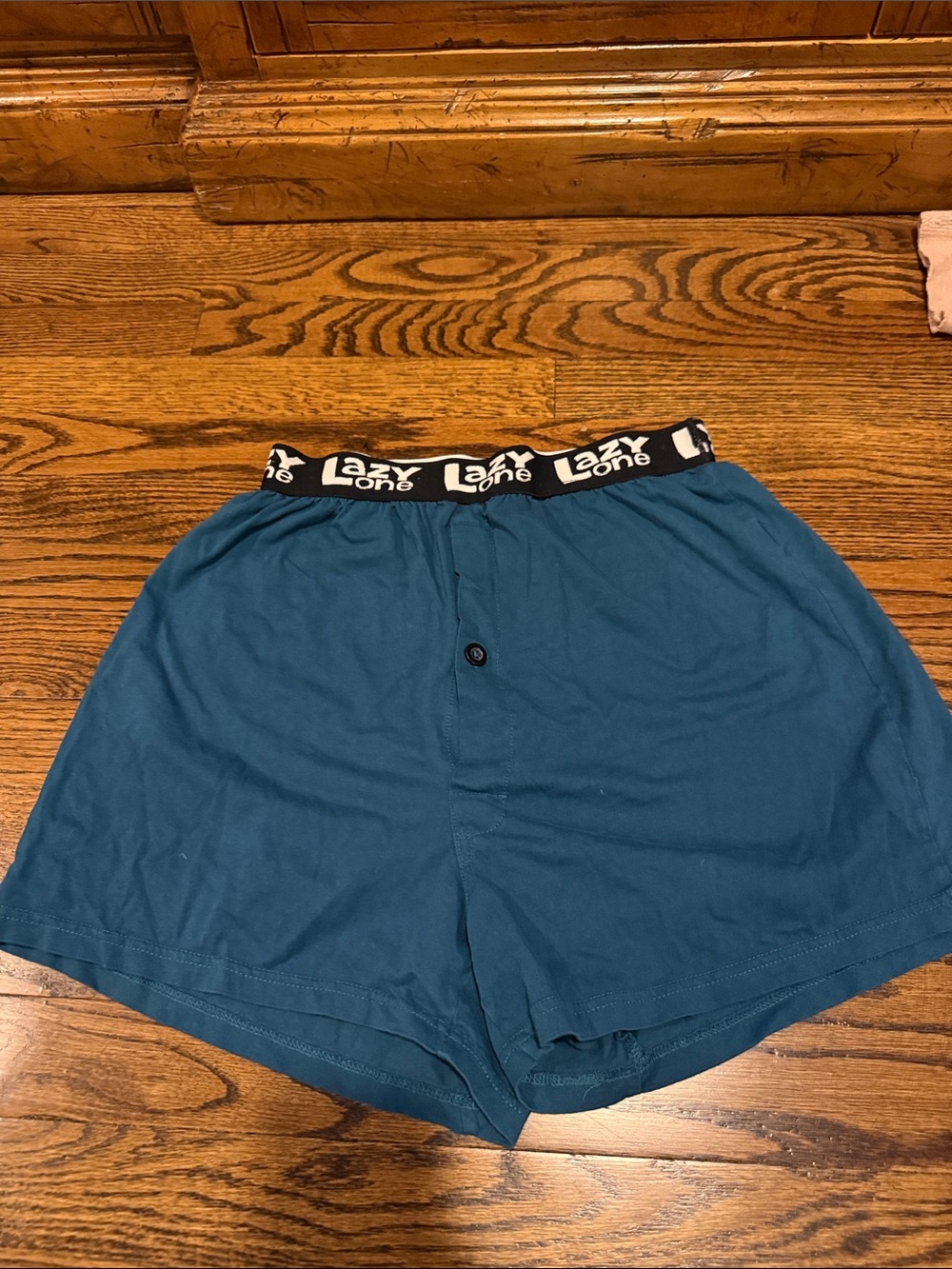 Lazy One Teal Athletic Lounge Shorts with Branded Waistband